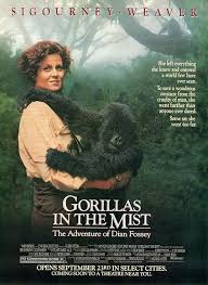 دانلود فیلم گوریل‌ ها در مه Gorillas in the Mist 1988